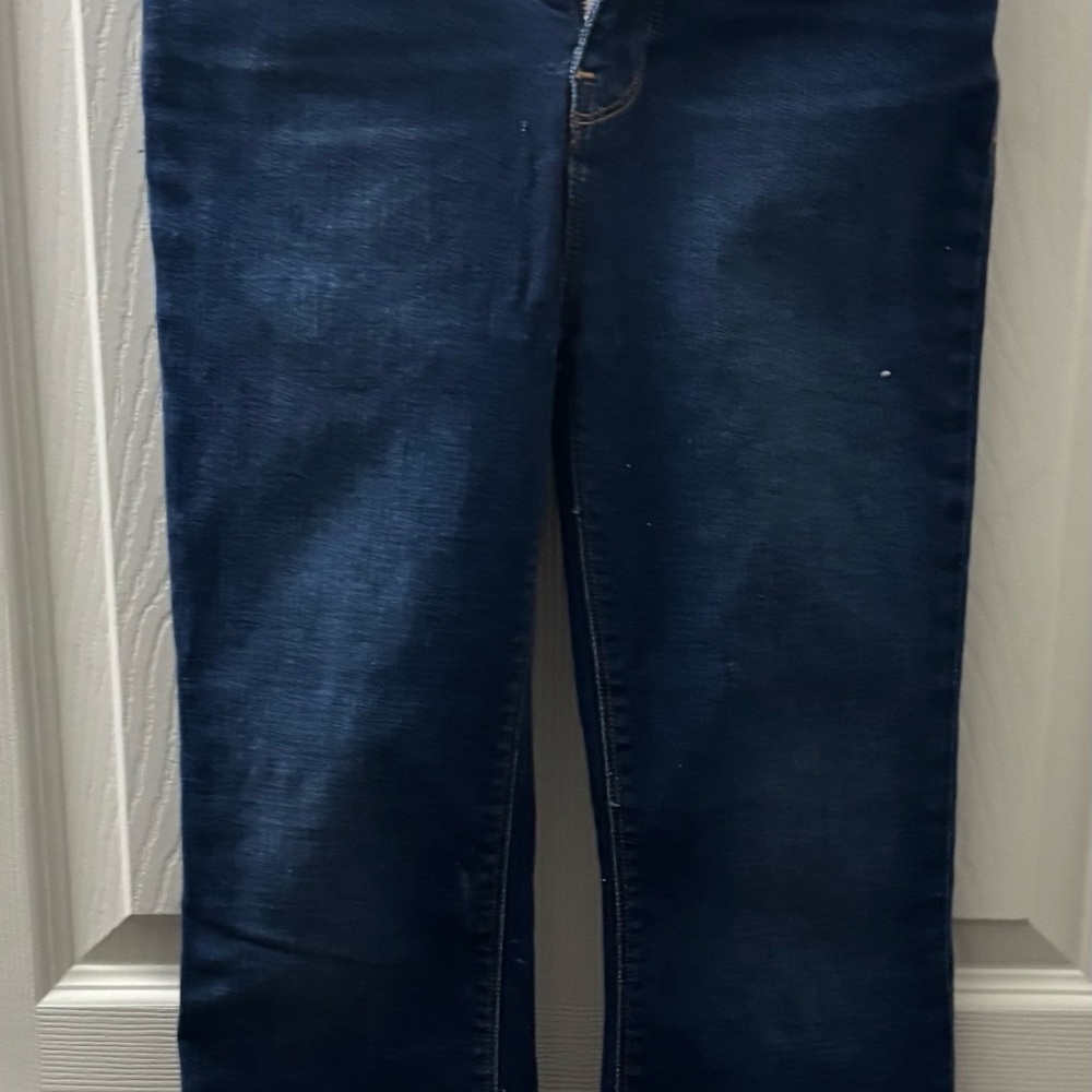 Hudson Jeans Blue Flare & Wide Leg